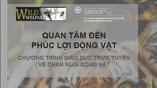*Multilanguage post*

FREE Animal Care Online Learning Course
การเรียนรู้เรื่องการดูแลสัตว์ทางออนไลน์
Kesejahteraan &amp; Pemeliharaan Satwa Liar Pada Taman Margasatwa
動物飼育のeラーニングプログラム
Học Chăm sóc Động vật Trực tuyến

wildwelfare.org/resources-elea…