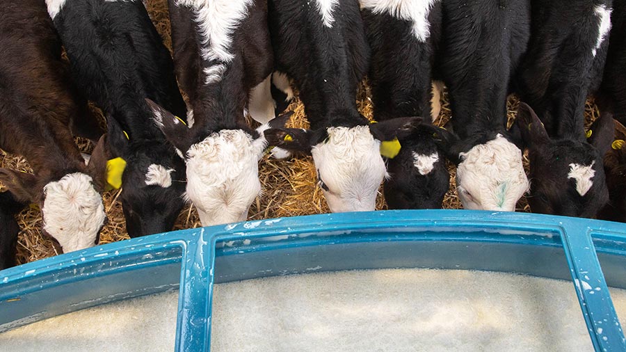 Improving the health and welfare of dairy calves are key to creating more productive adults, an article in <a href="/FarmersWeekly/">Farmers Weekly</a> claims.
In addition to feeding more milk, it's also important to make sure they are getting all of the trace elements they need.

fwi.co.uk/livestock/dair…