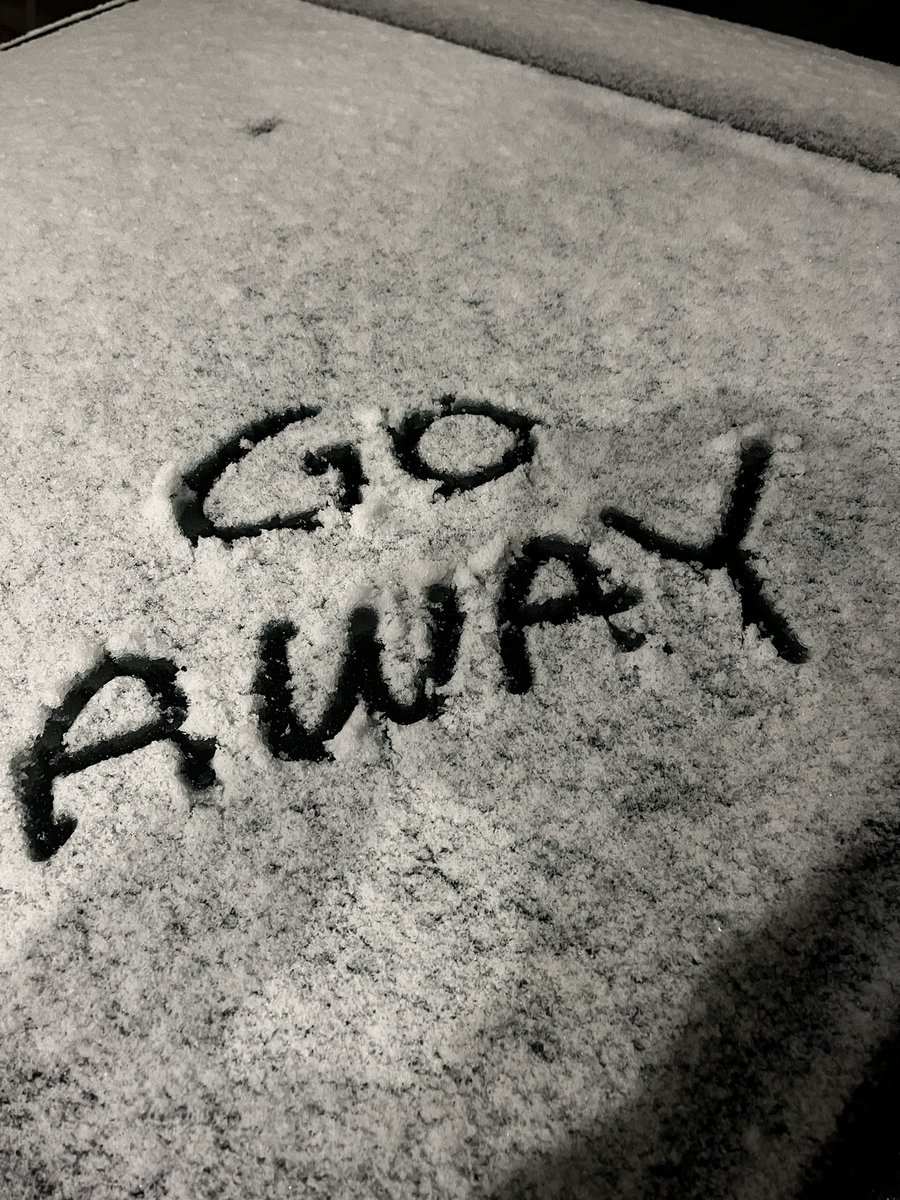 Nobody likes you, go home stupid snow