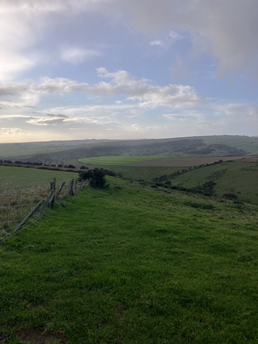 Jamie Cedar (@cedarjamie) on Twitter photo Plenty of raptors up on Ditchling Beacon just now including male Hen Harrier, Peregrine & 4 Red Kite <a href="/SussexBirding/">Sussex Birding</a> Plenty of raptors up on Ditchling Beacon just now including male Hen Harrier, Peregrine & 4 Red Kite <a href="/SussexBirding/">Sussex Birding</a>