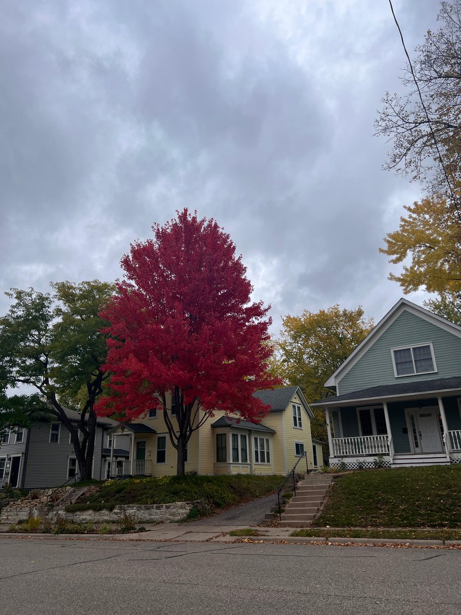 Happy Fall! As the leaves and weather start to change, it reminds us how the land itself changes too. It's always a good idea to have an updated survey to keep up with any changing conditions on your property. Give us a call at 757-208-7617 for a quote today!
