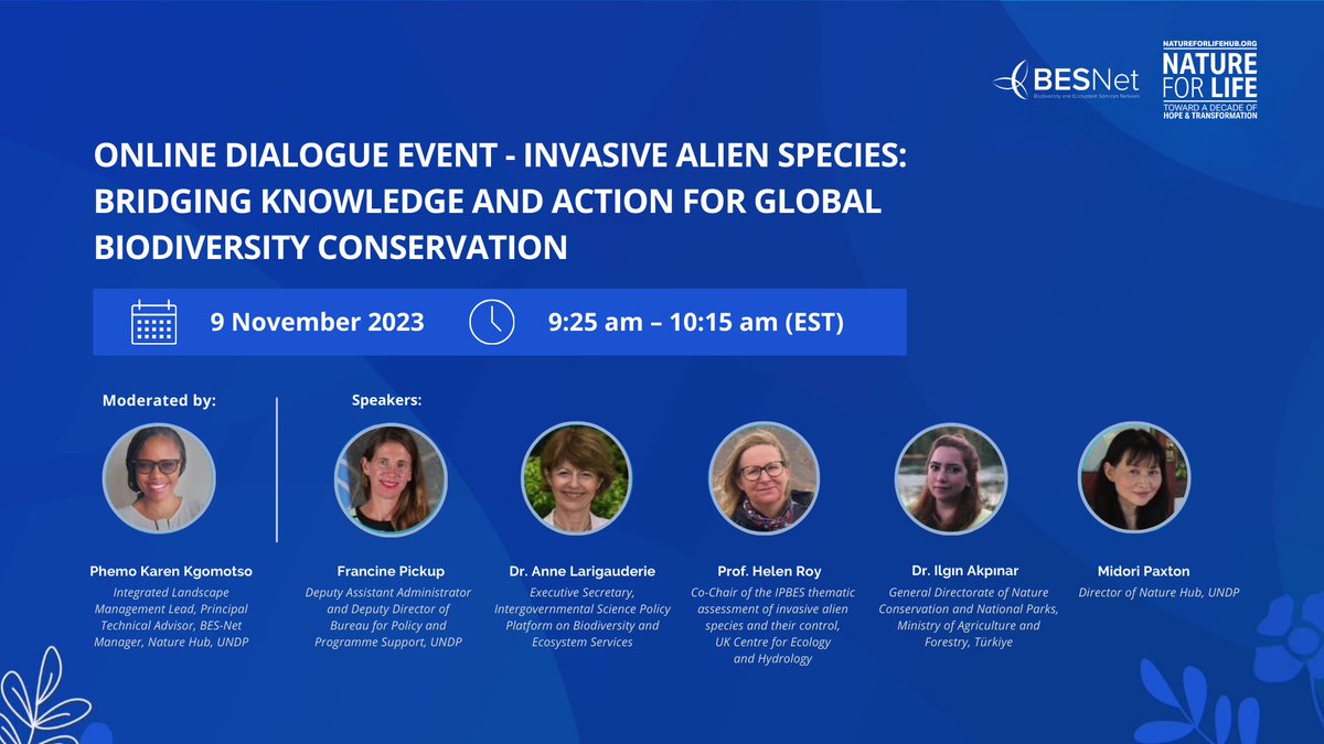 📢 #HappeningToday! Don’t miss us at #NatureForLife Hub 2023!

Explore solutions to invasive species invasions and discover how global frameworks translate into national #ActionforNature with the <a href="/UNDP/">UN Development</a>, <a href="/IPBES/">ipbes</a> and <a href="/TCTarim/">T.C. Tarım ve Orman Bakanlığı</a>.

⏰ 09:25 am - 10:15 am (EST)
🔗 bit.ly/NfLHub2023