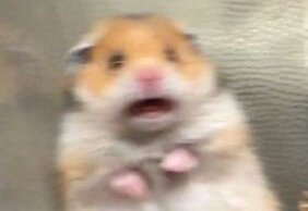 mrachpaul1793's tweet image. Современники отдельно отмечали опыт Чайковского в дирижёрстве. Я не зря решила, что это стоит внимания

"Дирижировал он далеко не бойко. Волновался больше, чем исполнители. По окончании "Демона" он прибежал за кулисы и крикнул «Душеньки, больше не буду!»"