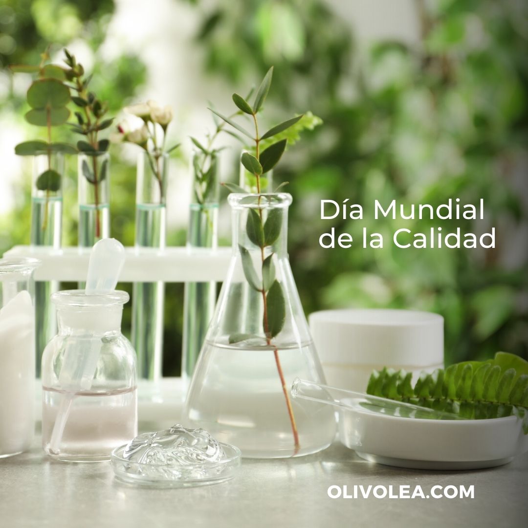 Olivolea tweet media