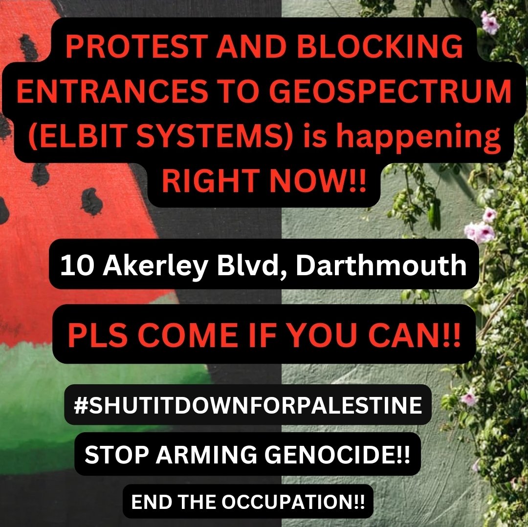 Labour for Palestine tweet media