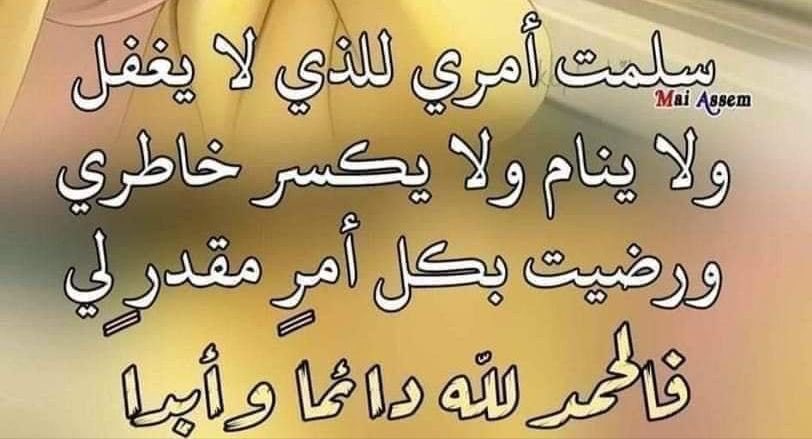 hodaelsayed71's tweet image. 