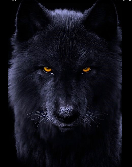 One thing people need to understand about extremely nice kind, loving people.
Is that their other side is just as extreme.
Don’t mistake their self-control as a sign of weakness.
The beast inside them is sleeping.
Not dead