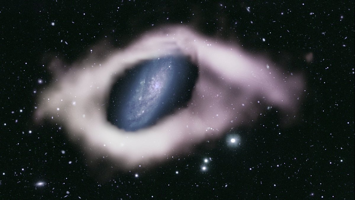 universe_notes's tweet photo. The starry disk of galaxy NGC 4632, shown in this composite image, is encircled by what’s probably a rare “polar ring” of mostly hydrogen gas visible only at radio wavelengths.

N. DEG ET AL/MONTHLY NOTICES OF THE ROYAL ASTRONOMICAL SOCIETY 2023
#geography_notes #universe https://t.co/v4KC6y5VKB
