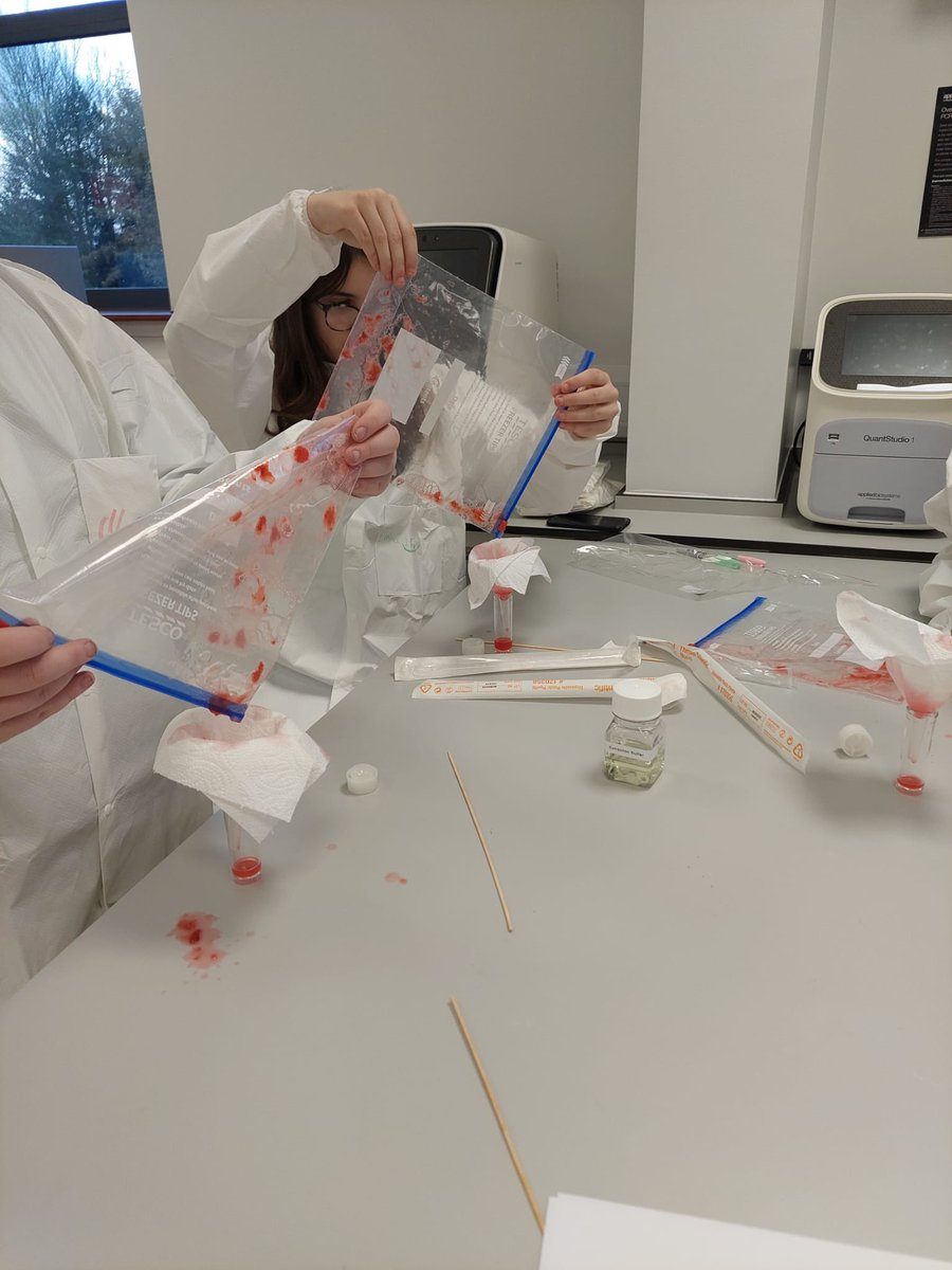 Renfrew Science (@renfrewscience) on Twitter photo Yesterday, some of our S2 scientists visited Thermo Fisher in Renfrew. Pupils were extracting DNA from strawberries and viewing cells using fancy microscopes! They really enjoyed using all the different pieces of equipment! They even left with their very own lab coat!! ๐ฉ๐ผโ๐ฌ๐จ๐ปโ๐ฌ๐งซ Yesterday, some of our S2 scientists visited Thermo Fisher in Renfrew. Pupils were extracting DNA from strawberries and viewing cells using fancy microscopes! They really enjoyed using all the different pieces of equipment! They even left with their very own lab coat!! ๐ฉ๐ผโ๐ฌ๐จ๐ปโ๐ฌ๐งซ