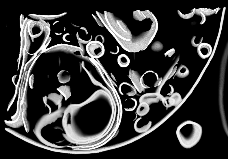 UtrechtVirology's tweet photo. Our #TeamTomo adventure continues! 🔬
Here is @BobCoelingh's first attempt running MemBrain-seg on one of his tomograms 😍 https://t.co/bbnPxR5lKa