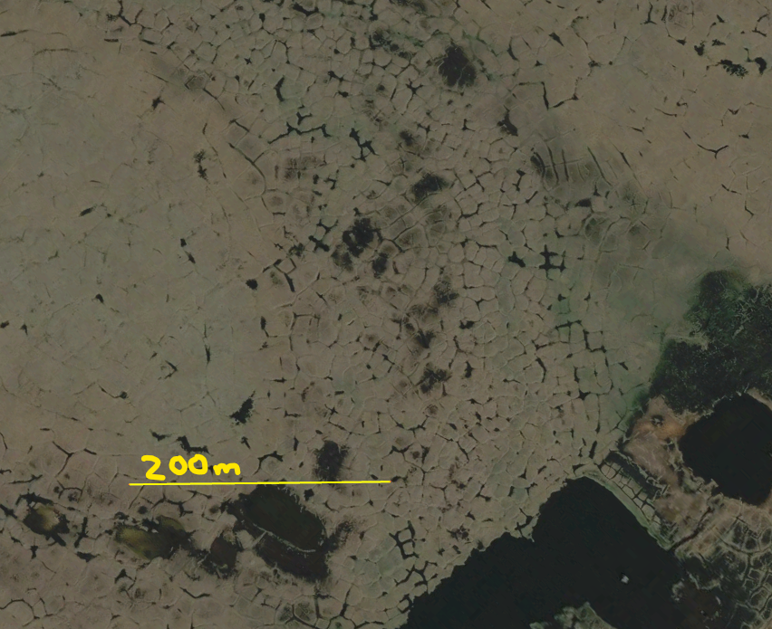 Pete D. Akers tweet media