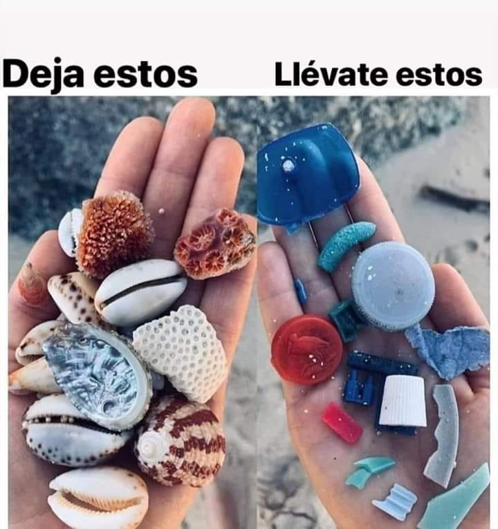 Cuando vayas a la playa 👇