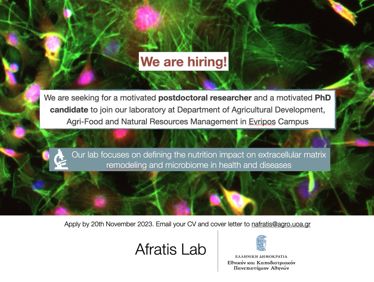 Nikos Afratis tweet media