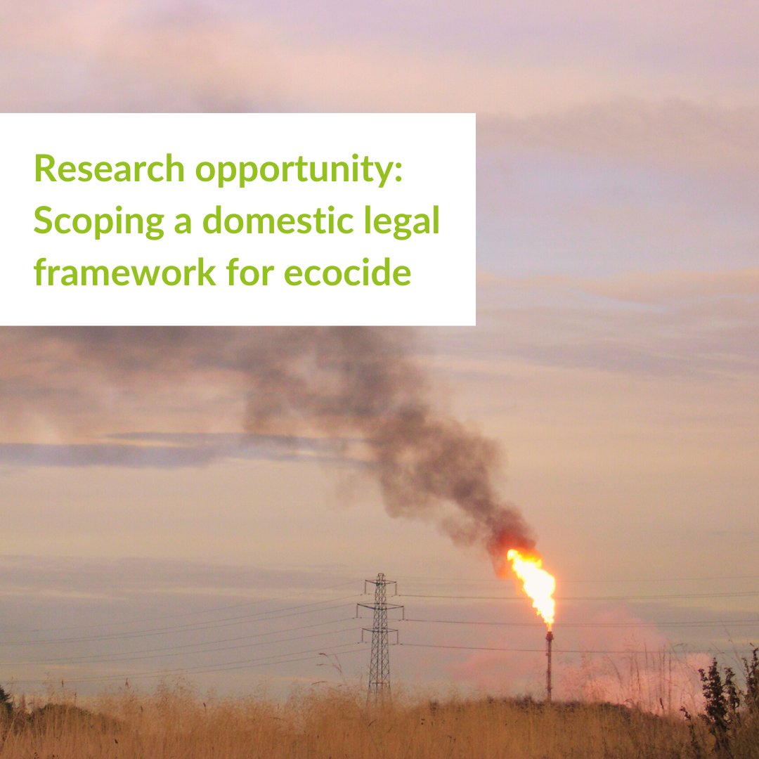 📢 Research opportunity: ERCS is commissioning a research report to scope the feasibility and options for incorporating #ecocide into Scots law.

👉For more information, please read our invitation to tender: ercs.scot/wp/wp-content/…

Please share widely!