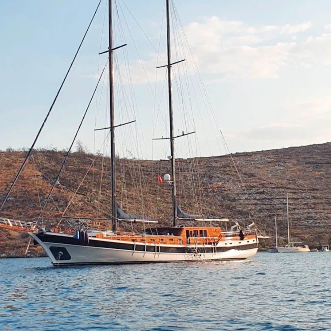 BoatHireFrance's tweet photo. Luxury Sailing Yacht Elianora. Family Boat hire sailing gulet Cruises France by Yacht Boutique expert. family cruises in Sardinia Italy and Corsica France.
https://t.co/cH5oJHHH0E #sailingyacht #sailyacht #Yacht #yachts #boat #boathire #boatrental #gulet #gulets #Turkishgulet https://t.co/2a9fSee5JH