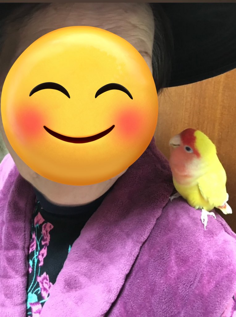 ピーちゃんが亡くなってからびっくりした事があったのでご報告させて頂きます。
少しスピリチュアル的なお話？なので信じない方はスルーしてください😅
私の体験ではなく祖母の話です。祖母も大号泣してました‥