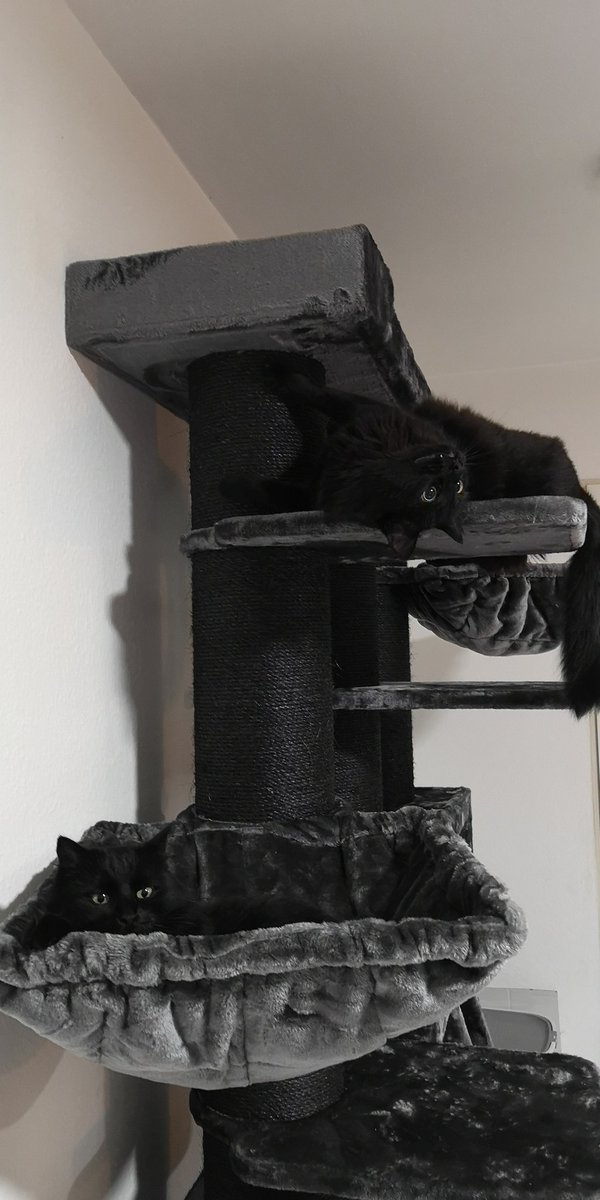 𝕷𝖚𝖙𝖆𝖓𝖆☆ (@xlutana) on Twitter photo 