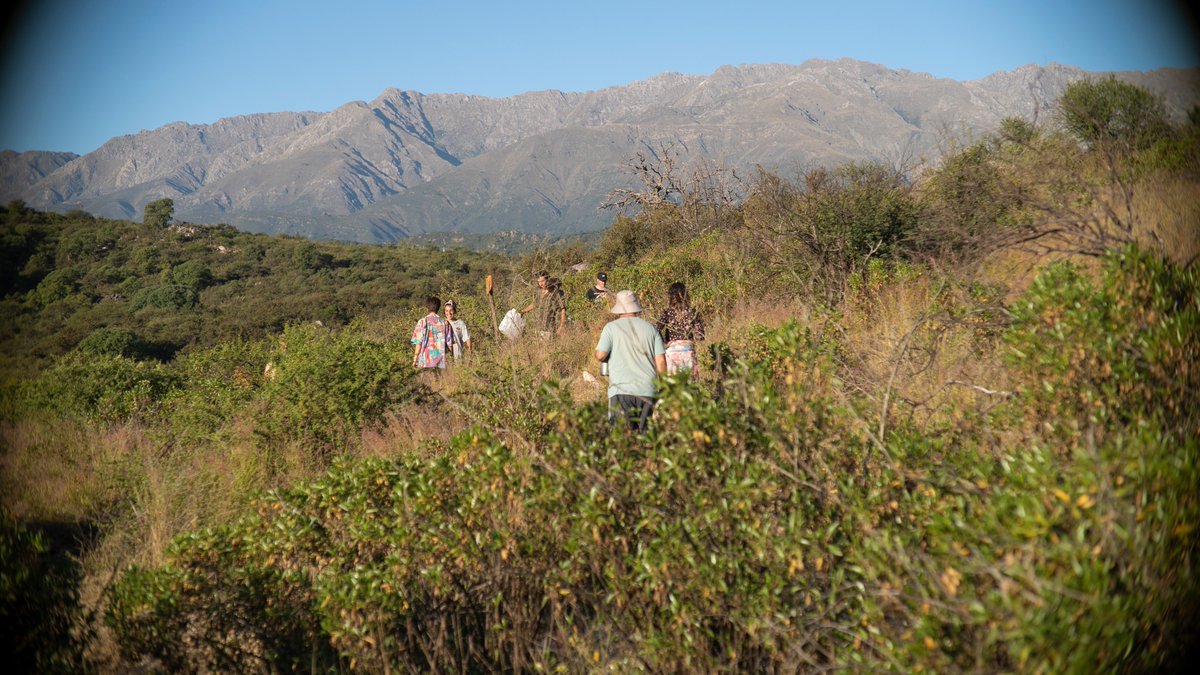 Buen día!
Empezó noviembre. Queremos invitarles a conocer el proyecto Fork Forest 2: Cortina forestal en Los Cerrillos.

Lo presentamos en el foro de <a href="/ForkDAOes/">FORK DAO 💡</a>.
Esperamos su feedback.

forum.forkdaogov.xyz/t/fork-forest-…