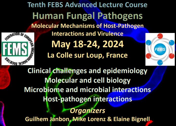 Human Fungal Pathogens: Molecular mechanisms of host–pathogen interactions and virulence in human fungal pathogens. 📆 May 18-24, 2024. Form more information visit 👇 #idtwitter #meded #mycology bit.ly/3sucAyT