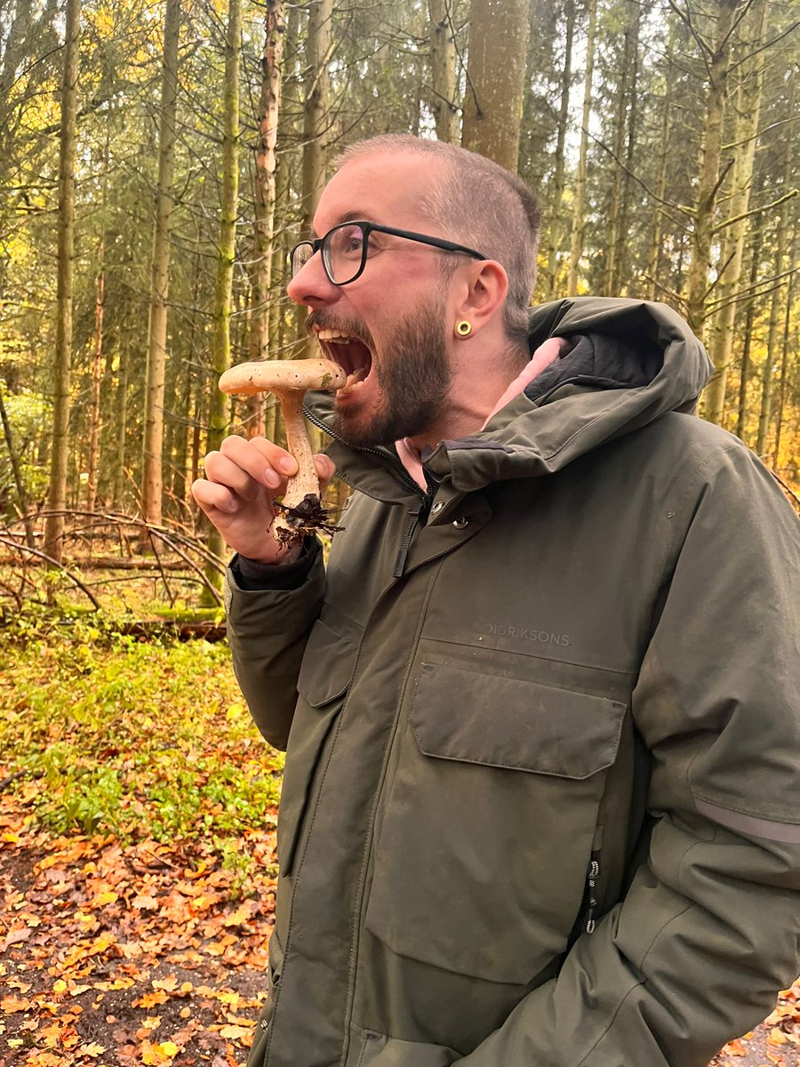 1990Luluboy's tweet photo. Beim Spazieren gehen packt mich immer die Lust nach Essen #wald #Food #foodlover #dubistwasduisst #fressattacke #x https://t.co/8OIdERHQfD