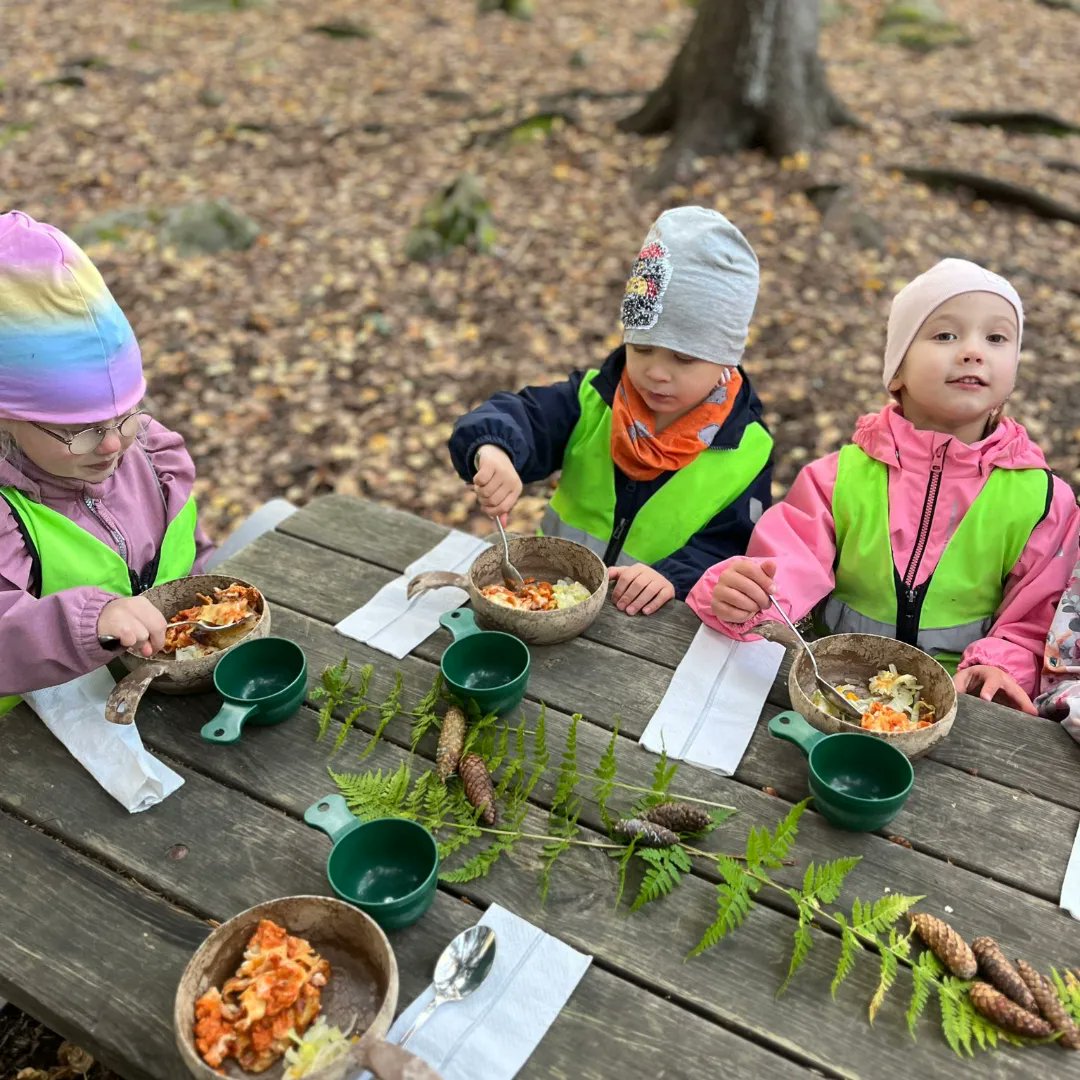 During our study tours, we often visit forest daycare groups. 
We have been asked many times how is it possible that children don't freeze?
Learn more how forest schools boost children's immune systems!

bbc.com/future/article…

#studytour #educationoutsidetheclassroom #EOC