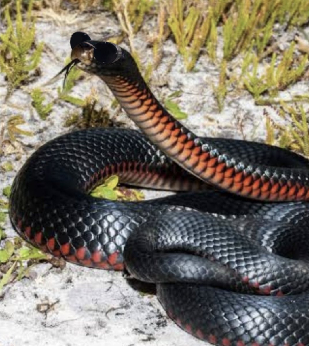 crowley s3 but he just looks like this