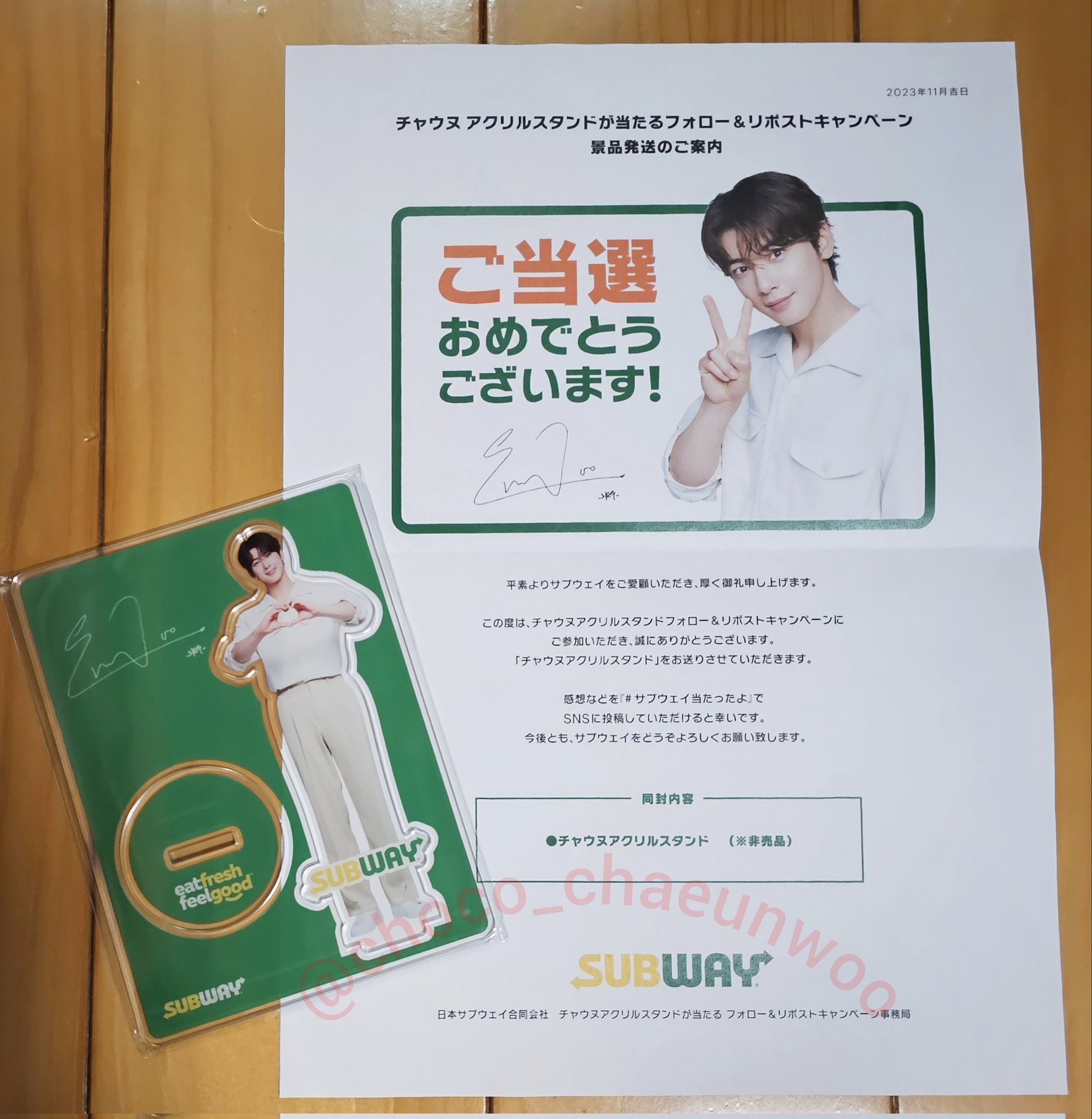 見逃し厳禁！おトクな チャウヌSUBWAY 非売品 アクリルスタンド アイドル