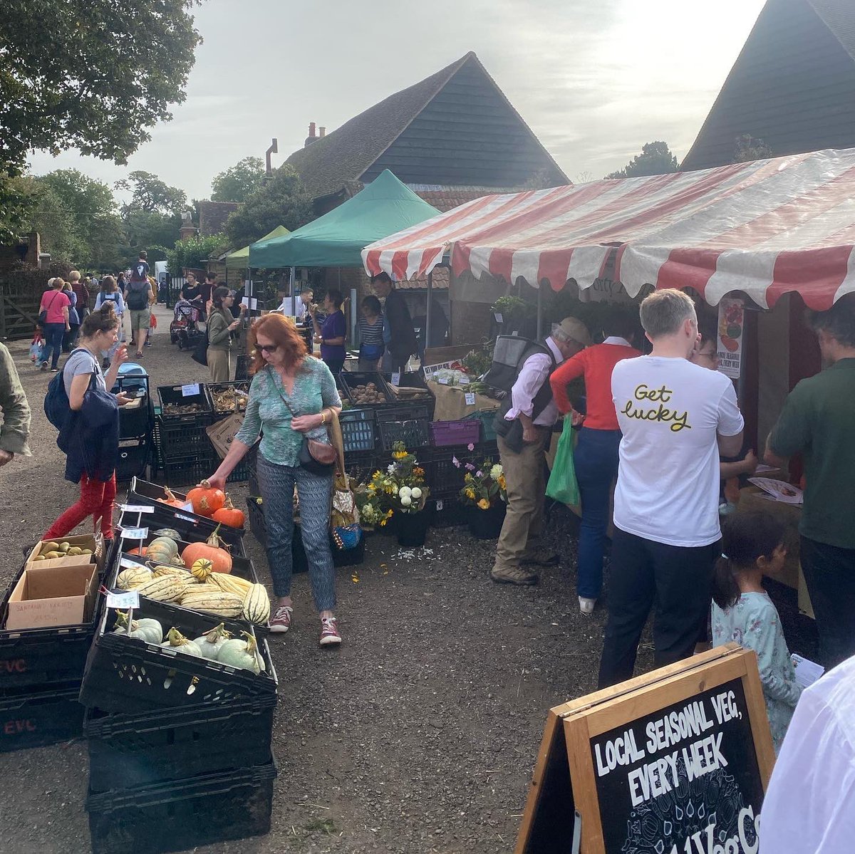 Food Gatherer tweet media