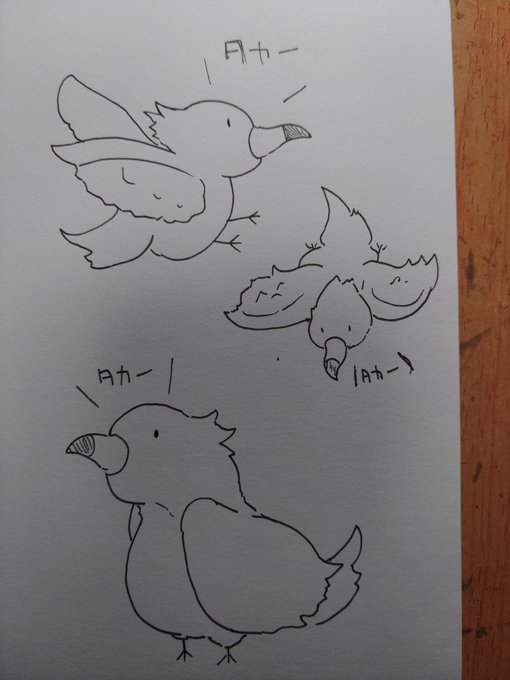 11月12日の日曜日まで期限で描いて欲しいキャラ言ってもらったら1枚だけ描きます|・ω・`)コッショリ
ただし僕の気分で描くキャラ選ぶのでそれにご納得いただけるならコメント下さい|・ω・`)コッショリ
画像は癒しですタカー🦅 