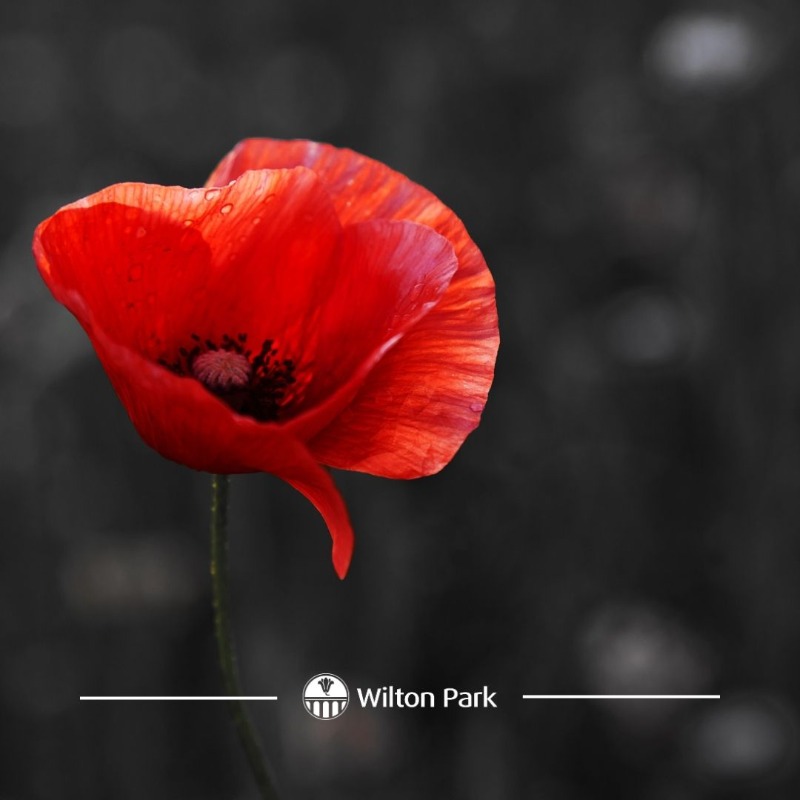 Today we remember all those who have lost their lives in conflict, and honour those who continue to serve in defence of our freedoms. #RemembranceDay #LestWeForget