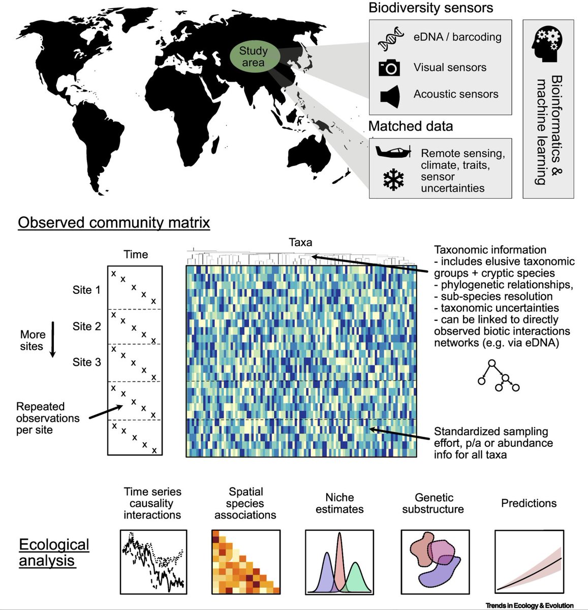 Our review 'Novel community data in ecology-properties and prospects' now out @Trends_Ecol_Evo - 50 day free access via authors.elsevier.com/a/1i3CTcZ3WyH4T Joint work of an @idiv working group with @Jon_Chase03 @GGuillera @alex_a_bush @loic_pellissier @_Max_Pichler @Lajosy0 @ZurellLab