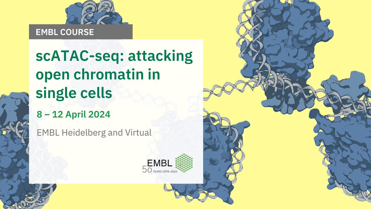Are you a molecular biologist who wants to perform scATAC-seq experiments and analysis in your lab? Then #EMBLATAC is for you! 👀

Join and learn the entire workflow of a single-cell ATAC-Seq experiment 🙌

📩 Apply by 16 January
📍 EMBL Heidelberg
➡️ s.embl.org/ata24-01