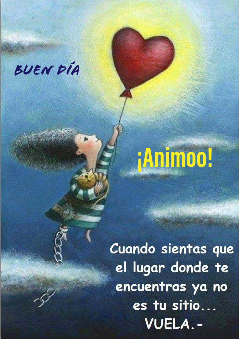 memoojeda's tweet photo. #BuenDia ☀️ Vuela alto, lucha por tus sueños, pero nunca olvides de dónde vienes!! #animoo #FelizJueves 🙏🏾🌤️🙋🏾❤️👪🌹🏡🤗👍🏽 https://t.co/KfE4GkzAm2