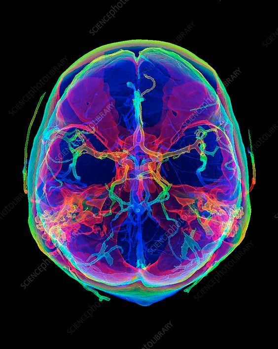 danmurrays's tweet photo. Your brain needs 7 types of energy to function fully.

This is why: https://t.co/jrS7zp1s3e