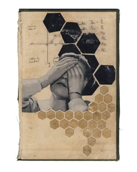 emptyframesjota's tweet image. © Hollie Chastain ★
    'Fool's Gold' #1
#collage #collageart #cutandpaste 
#bookcoverart #papercollage