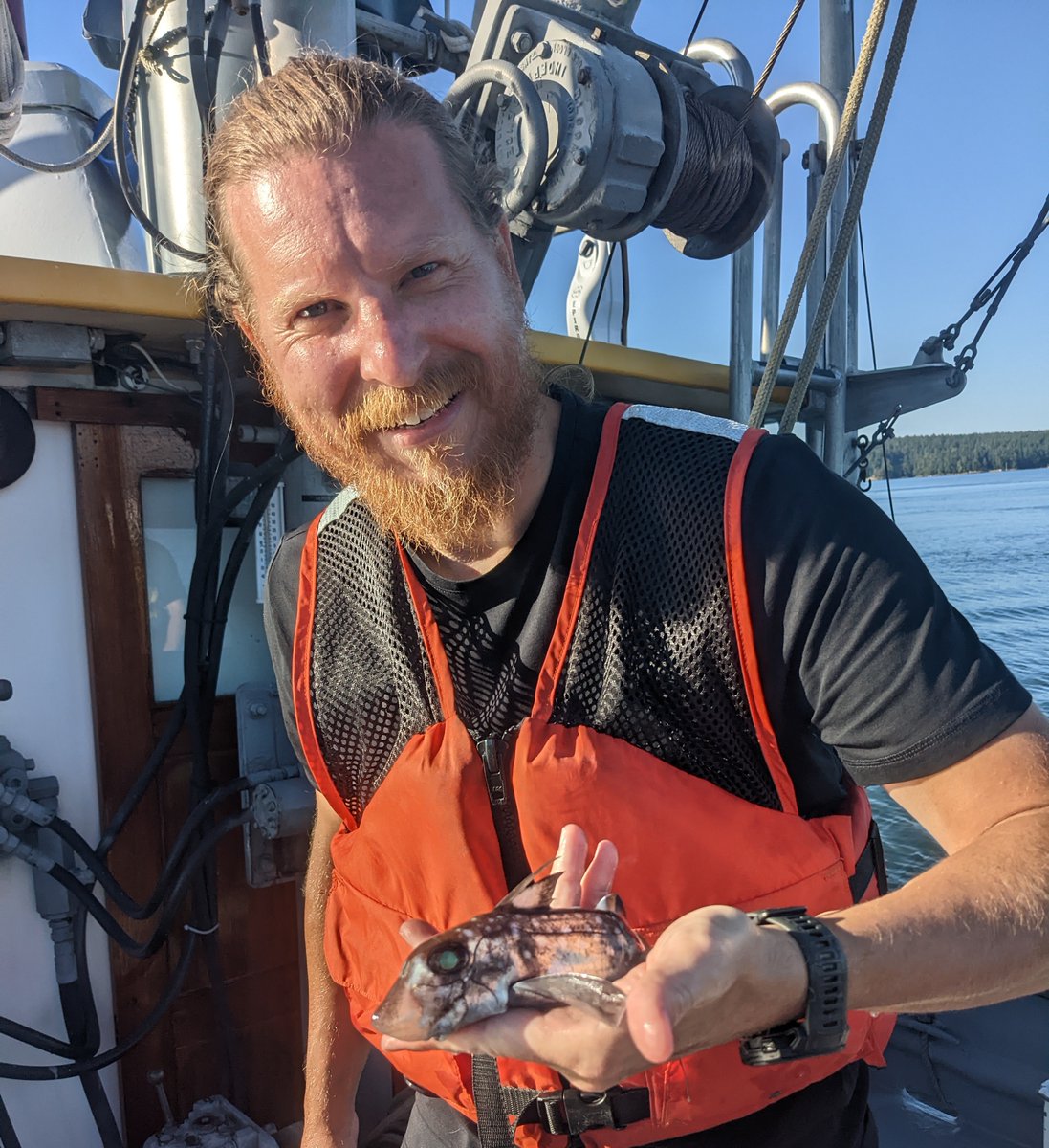 Read this week's Member Spotlight on Dr. Gareth Fraser and his research on hammerhead sharks! He was a senior author on a paper published in @DevelopmentalDy. ow.ly/G0aM50Q57PS #AnatomyConnected24 #anatomy #science #research #education #AmericanAssociationForAnatomy