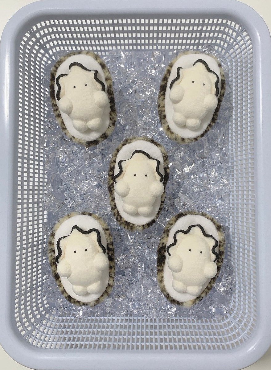 inutte_iina's tweet photo. 水揚げされた牡蠣たち🦪 https://t.co/nnqdRm59Xk