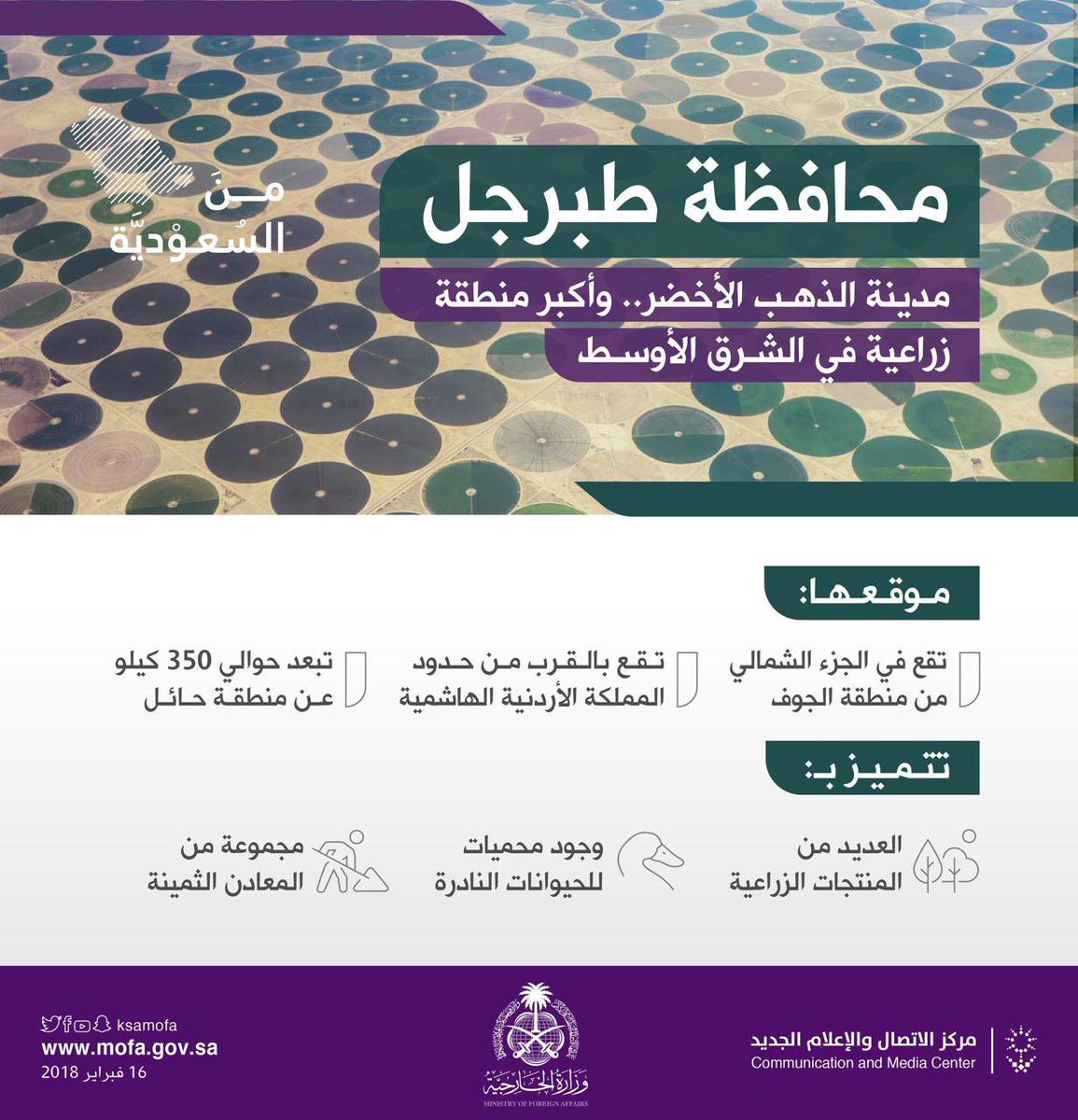 قضاعي الجوف tweet media