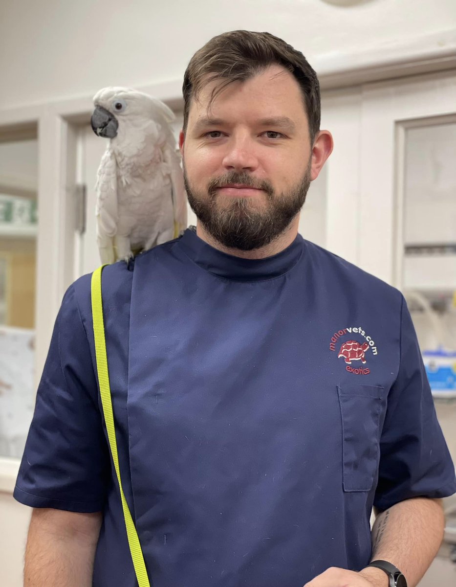 ManorVetsToday's tweet photo. One of our favourites - the very beautiful Cockatoo named Sophie with our Exotic Vet Jack 🤍🌿

Visit us ℹ️https://t.co/tmCSQCMepH
#exoticvets
#cockatoo
#avianvets https://t.co/xnGi4x6Wbi