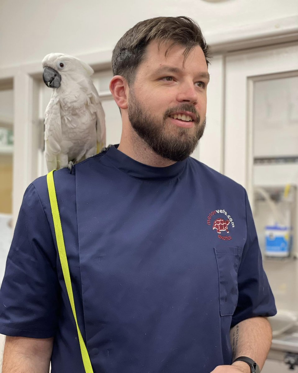 ManorVetsToday's tweet photo. One of our favourites - the very beautiful Cockatoo named Sophie with our Exotic Vet Jack 🤍🌿

Visit us ℹ️https://t.co/tmCSQCMepH
#exoticvets
#cockatoo
#avianvets https://t.co/xnGi4x6Wbi