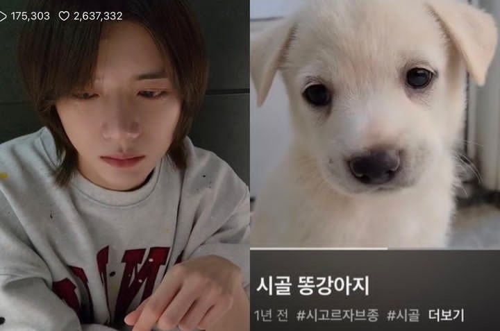 پاپی کوچولو :(