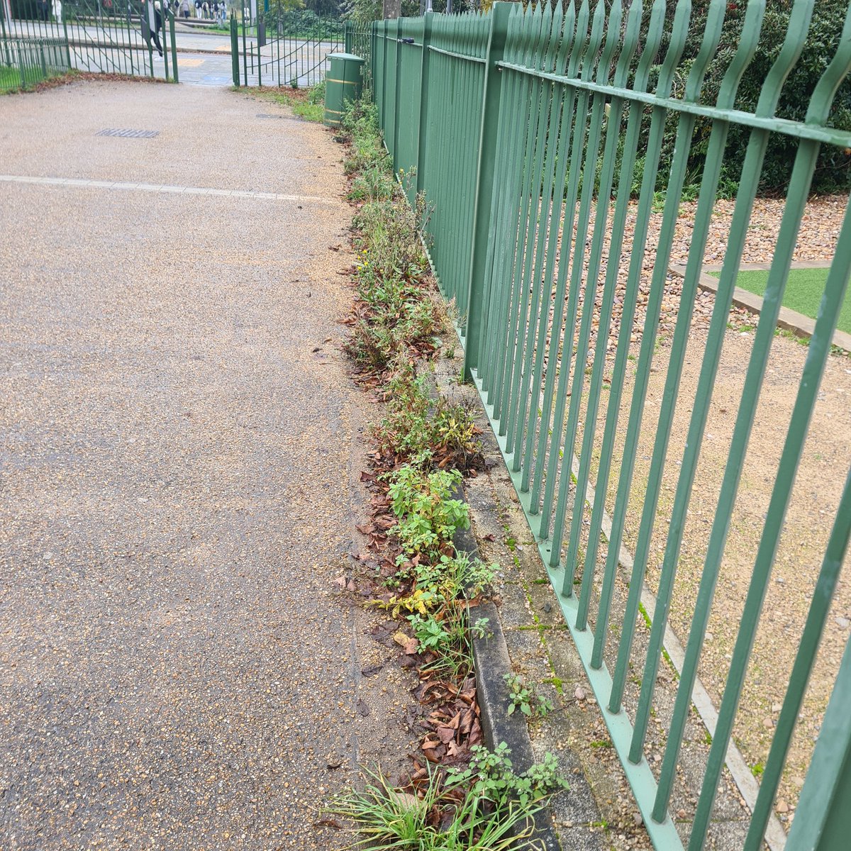 Marcus sharp tweet media