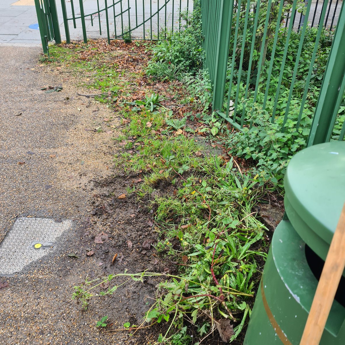 Marcus sharp tweet media