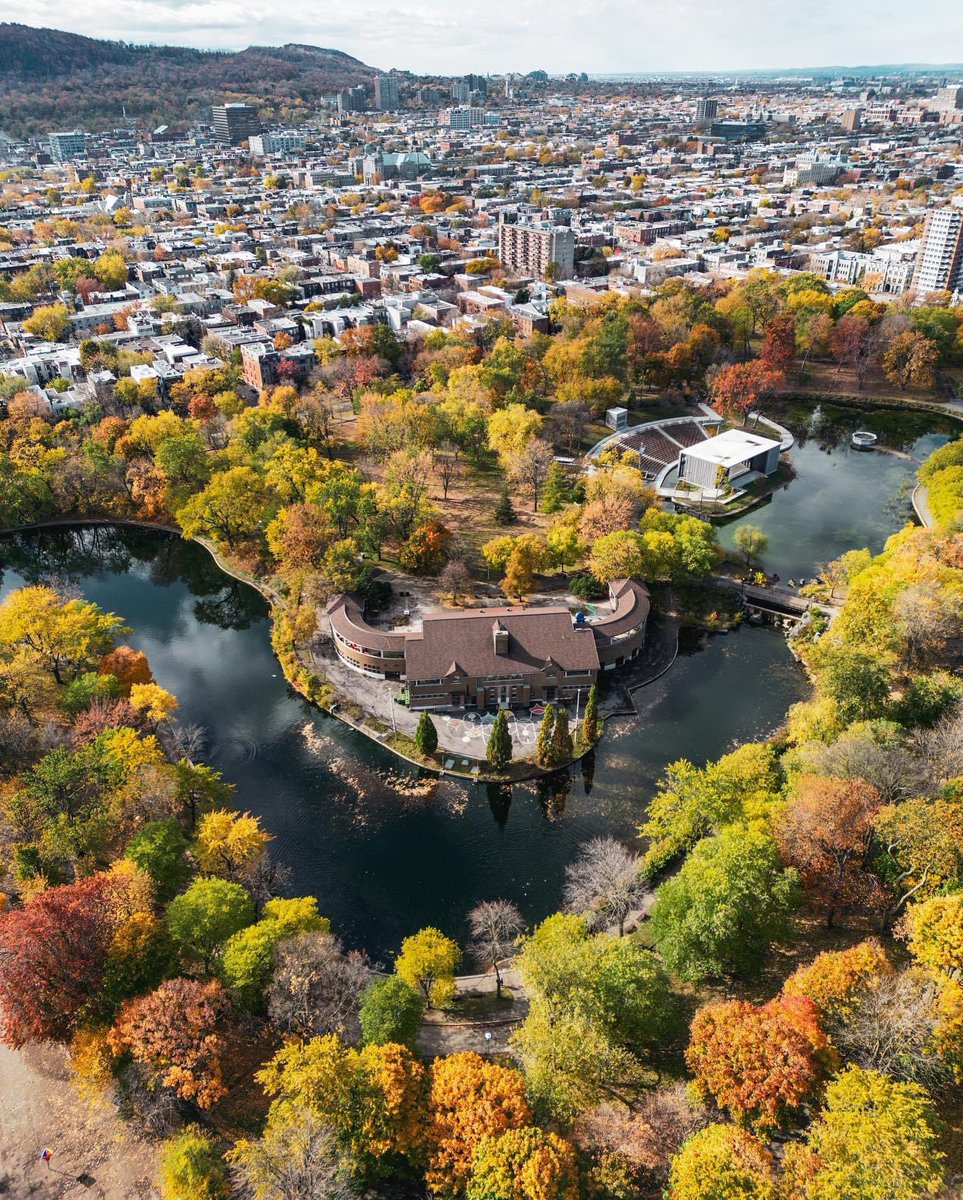 Une perspective différente du parc La Fontaine 🤩💚

📷 @jfsavaria #Montréal #MTLmoments #PhotoduJour