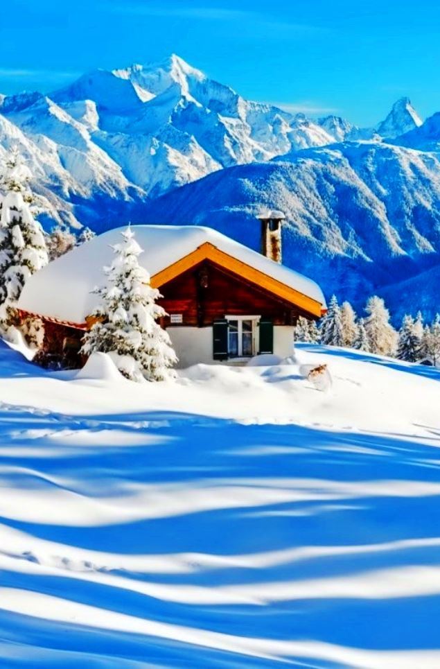 Lots of new snow has fallen overnight ❄️❄️❄️