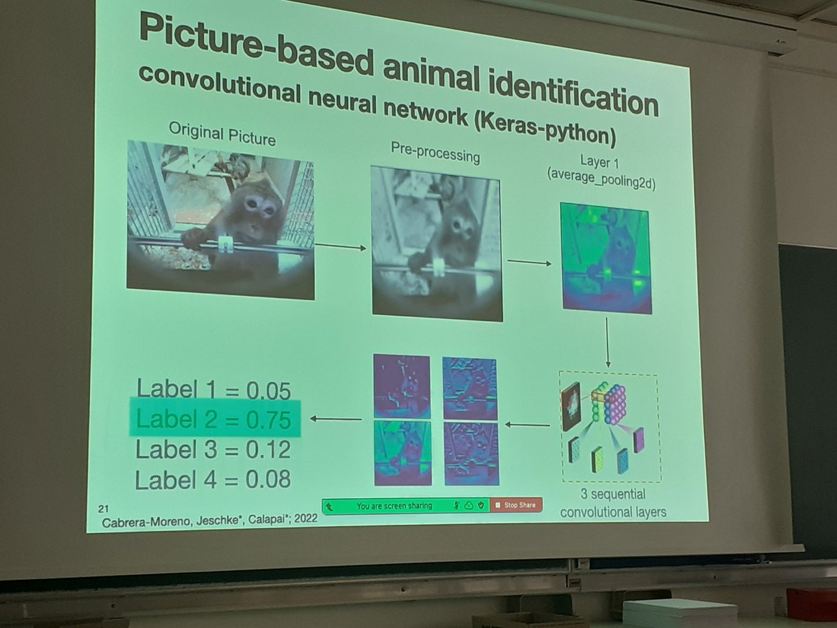 🌟Our second plenary speaker kicking off our afternoon session - @AntoninoCalapai (<a href="/DPZ_eu/">Primatenzentrum DPZ</a>) on enhancing primate cognition (research) 🐒🐒🐒

What an amazing display of a variety of autonomous devices to asses behaviour &amp; cognition in captive group-housed primates!

#gradbehav23