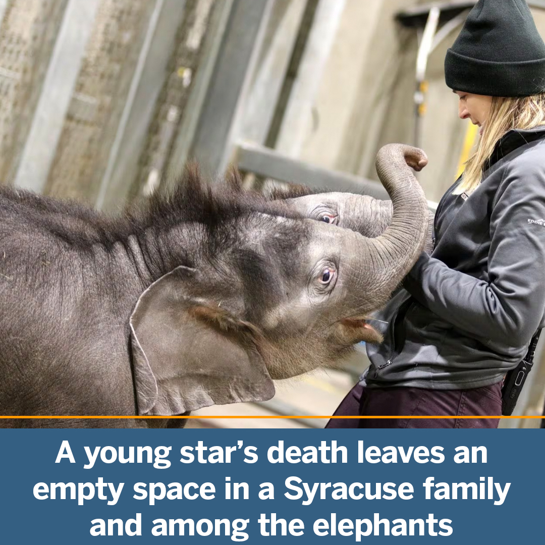 A young star’s death leaves an empty space in a Syracuse family and among the elephants syracuse.com/news/2023/11/a…