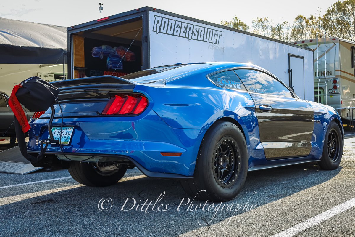 kingdittles's tweet photo. One of the cleanest mustangs that showed up to the Haltech World Cup Finals 2023  #ford #mustang #fordmustang #coyote #coyotepowered #turbo #dragrace #importvsdomestic https://t.co/4Ewklk6gOW