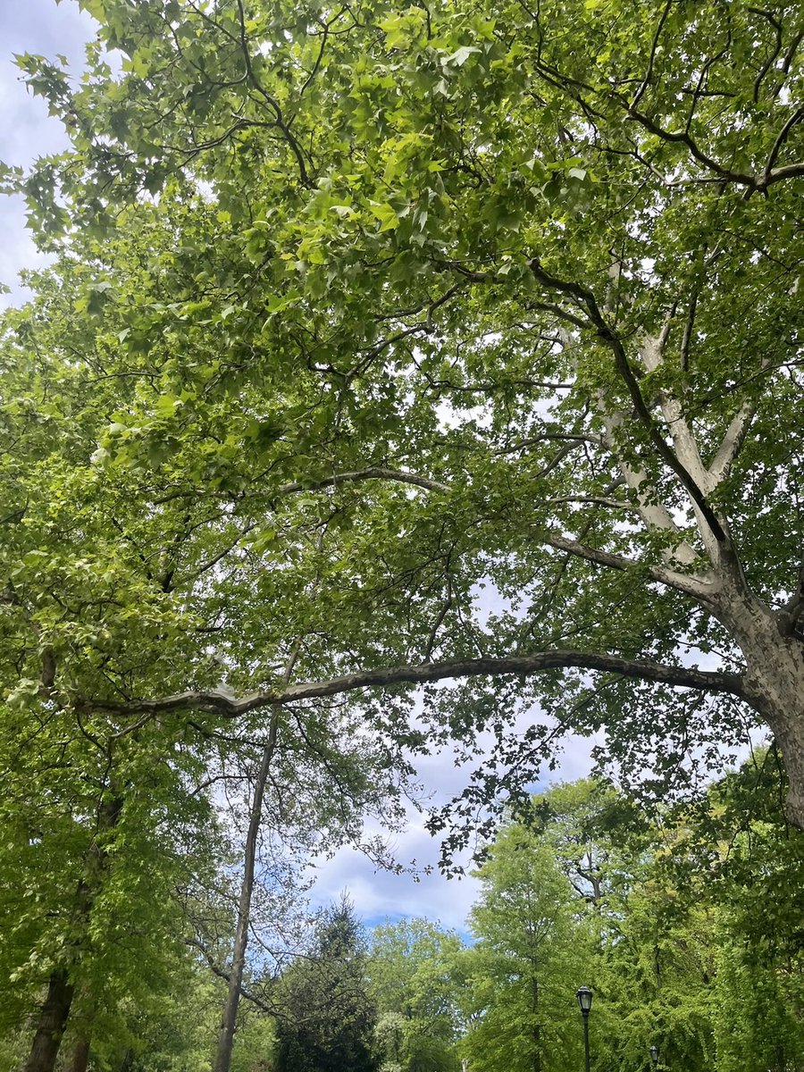 arrapot18's tweet image. Good morning from NewYork City! Great to catch up a morning walk and brew!! Fresh morning air makes you feel clear and energetic! Should always make your morning time the most important part of your day to start with #NY #mornings