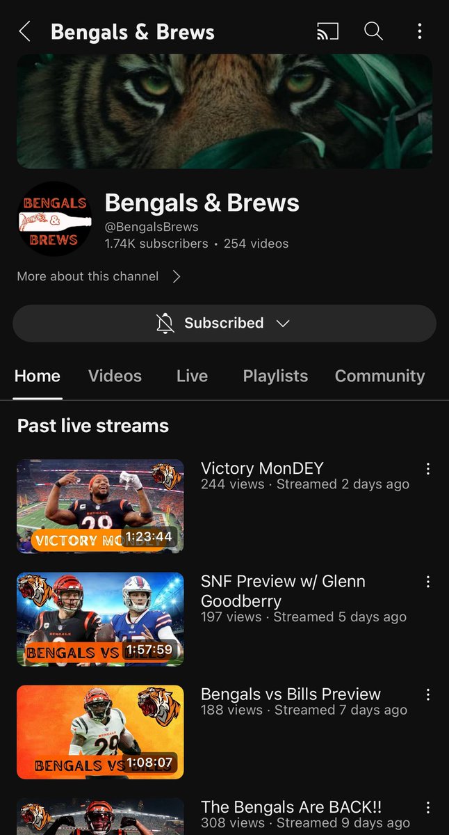 NthButFantasy's tweet photo. @BengalsBrews #WHODEY https://t.co/H9mWzfBsxv
